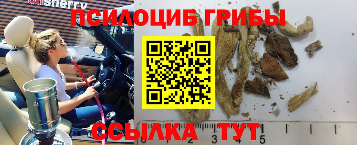 Ликино-Дулёво  Псилоцибиновые грибы Magic Shrooms  Вход с VPN 
