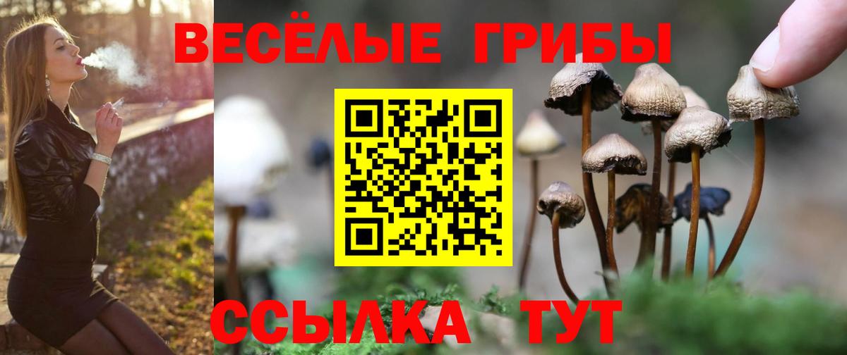 Галлюциногенные грибы Magic Shrooms Ликино-Дулёво