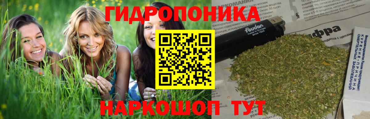 Канабис индика Ликино-Дулёво